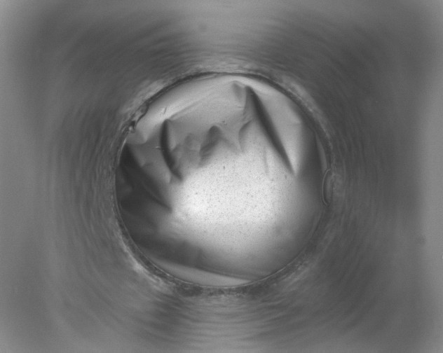 X0000077980433200611101706