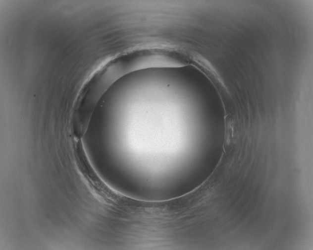 X0000077980436200611101706
