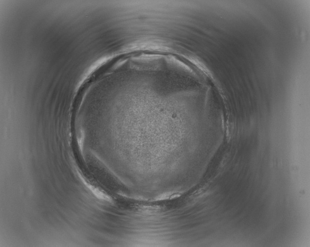 X0000077980438200611101706