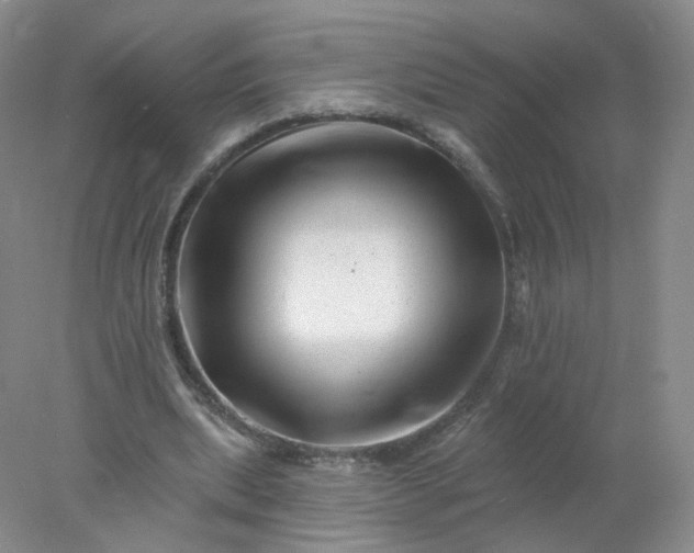 X0000077980439200611101706