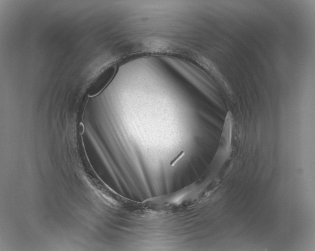 X0000077980442200611101706