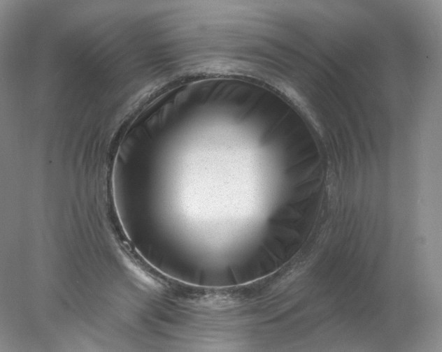 X0000077980445200611101706