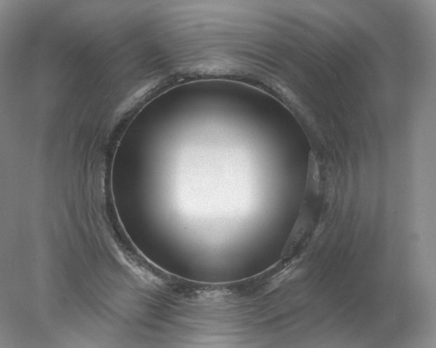 X0000077980446200611101706