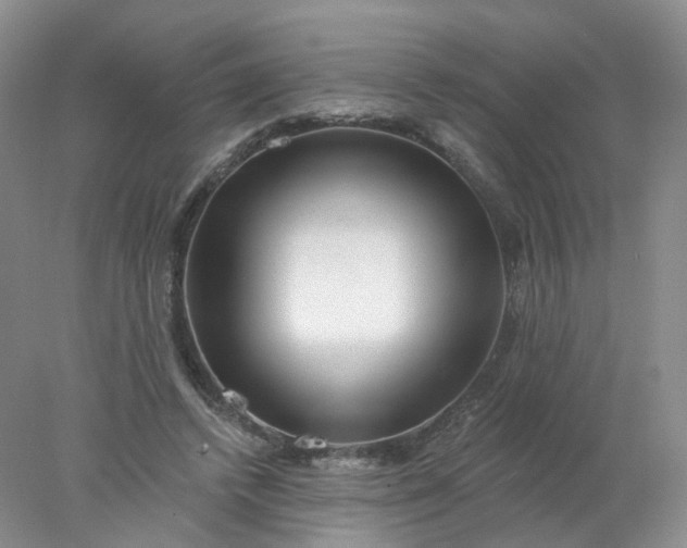 X0000077980448200611101706