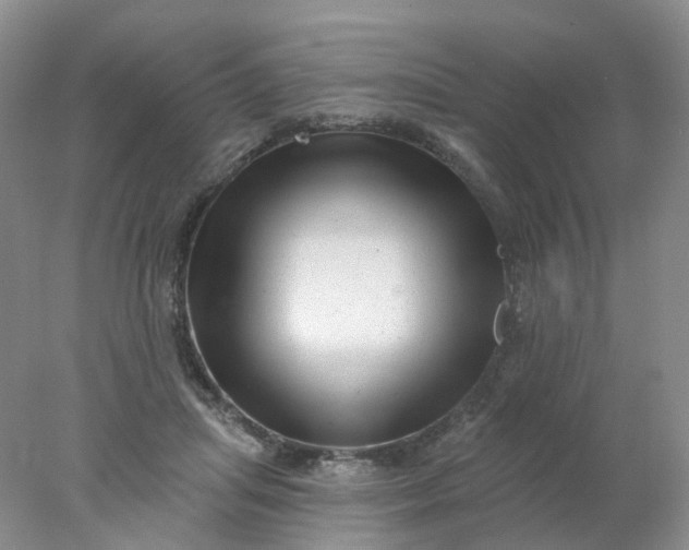 X0000077980455200611101706