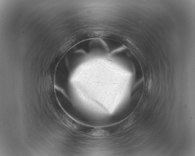 X0000077980459200611101706