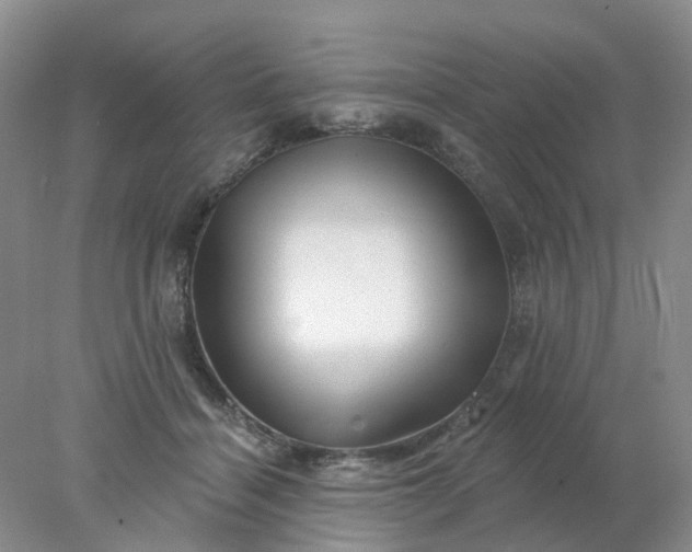 X0000077980460200611101706