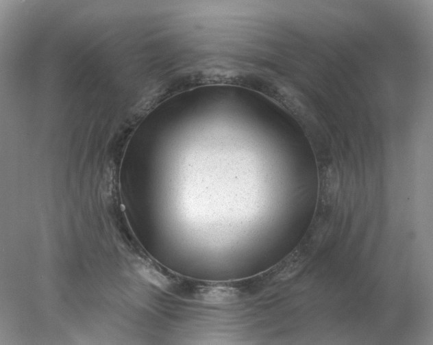 X0000077980463200611101707