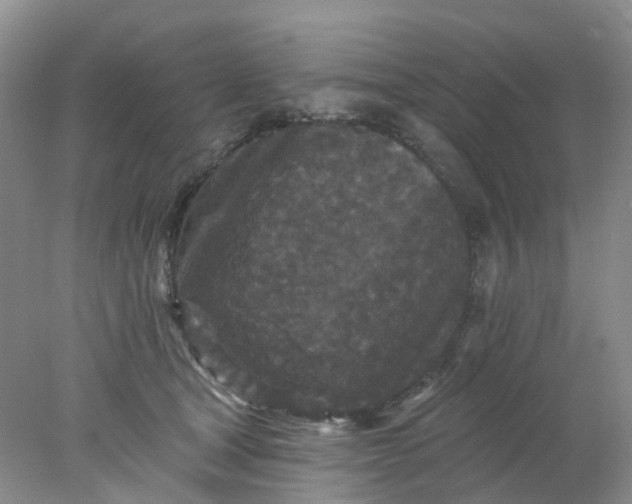 X0000077980465200611101707