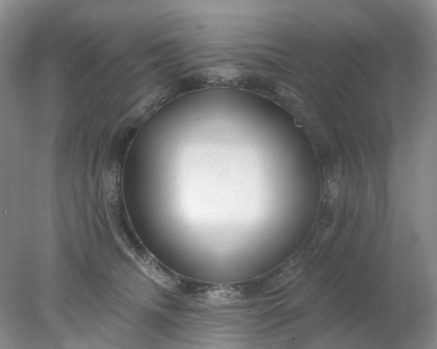 X0000077980468200611101707