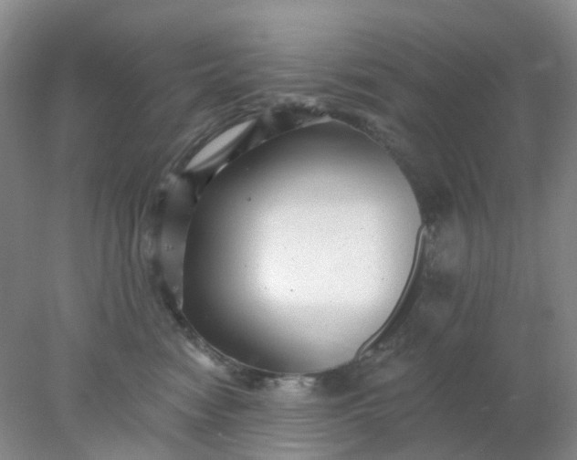 X0000077980474200611101707