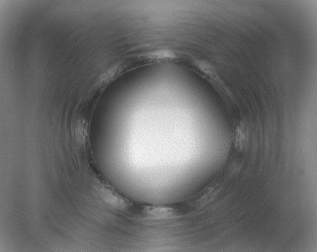 X0000077980476200611101707