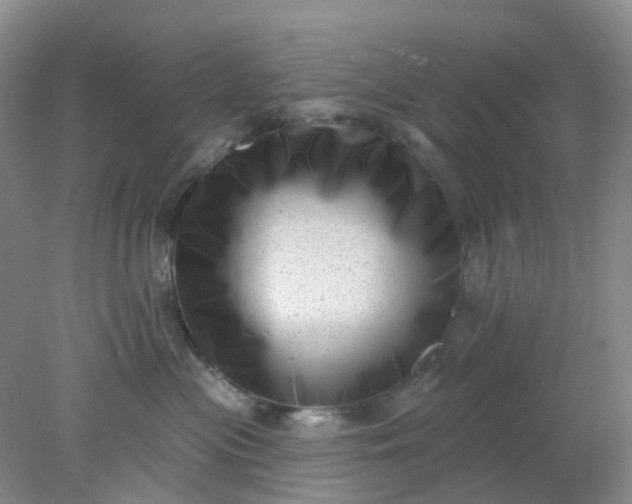 X0000077980477200611101707