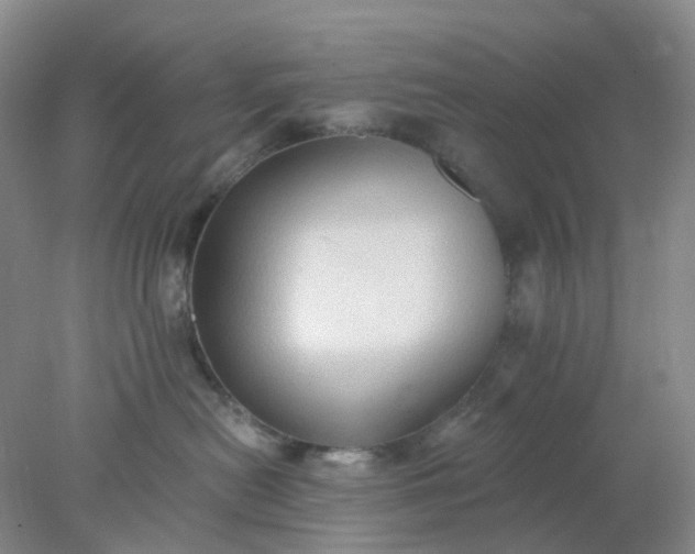 X0000077980478200611101707