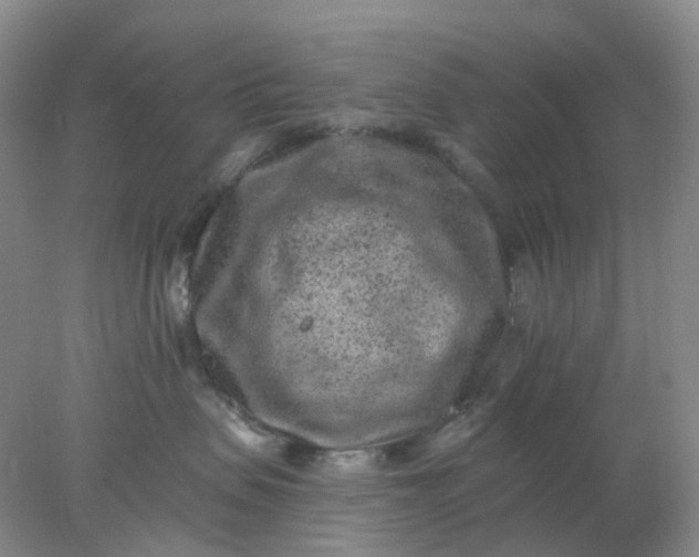 X0000077980479200611101707