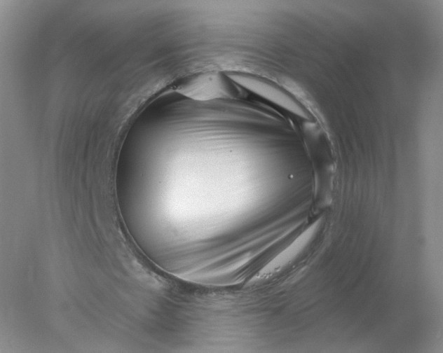 X0000077980481200611101706