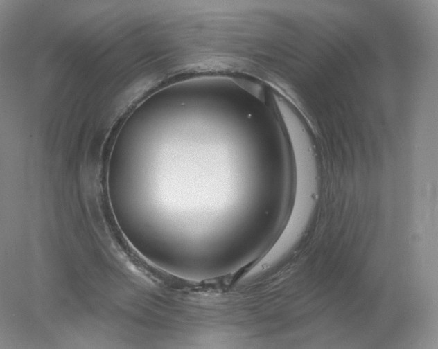 X0000077980485200611101706