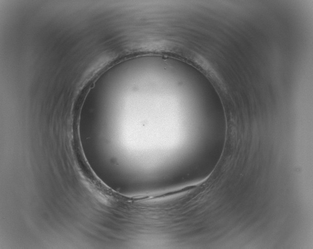 X0000077980486200611101706