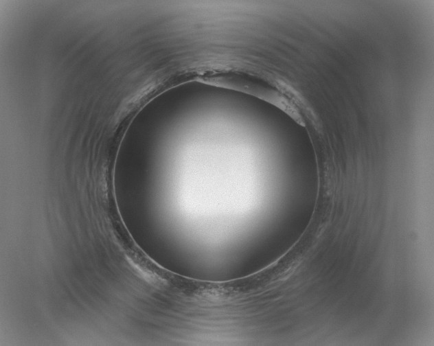 X0000077980489200611101706