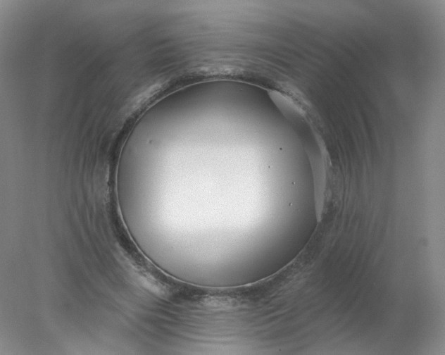 X0000077980490200611101706
