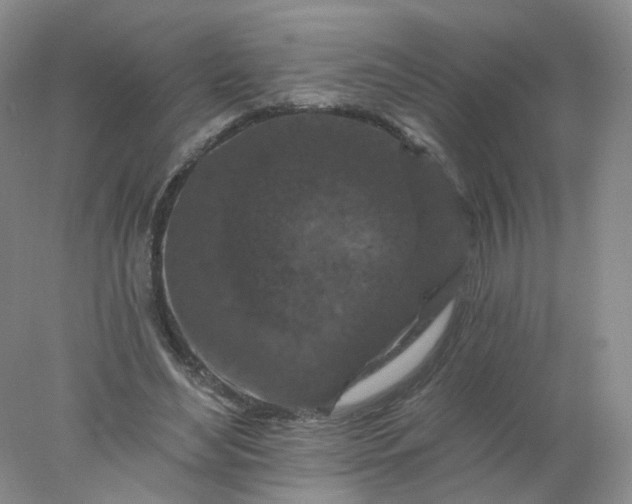 X0000077980492200611101706
