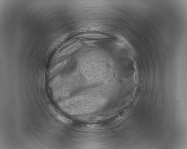X0000077980493200611101706