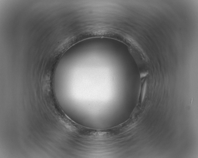 X0000077980497200611101706