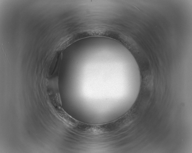 X0000077980498200611101706