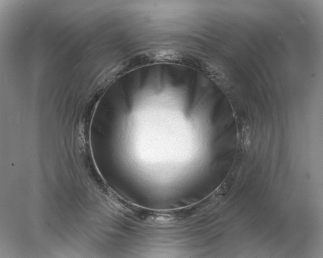 X0000077980506200611101706