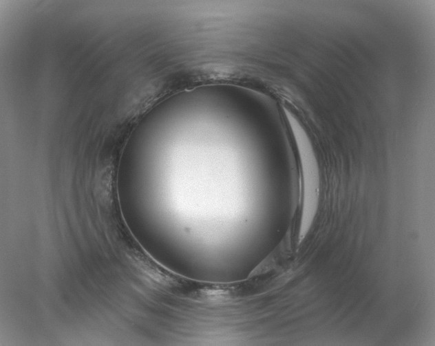 X0000077980509200611101706