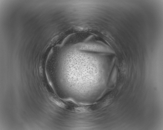 X0000077980516200611101705