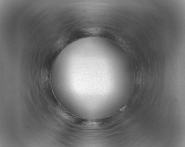 X0000077980518200611101705