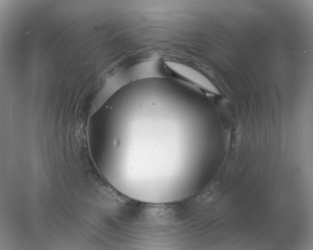 X0000077980521200611101705