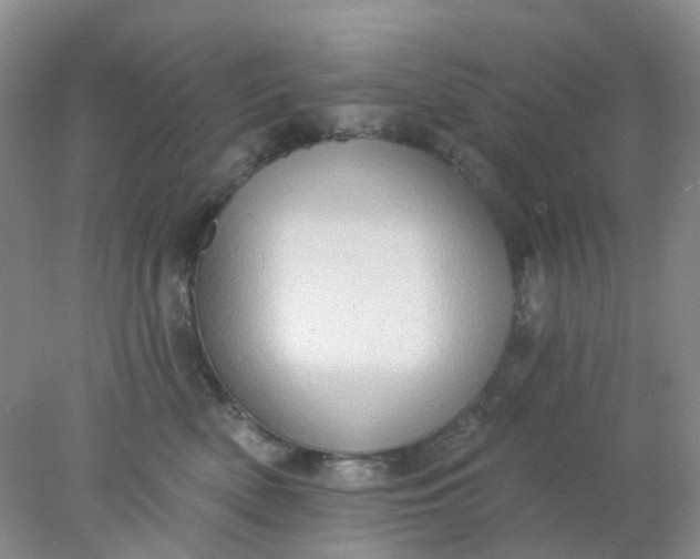 X0000077980522200611101705