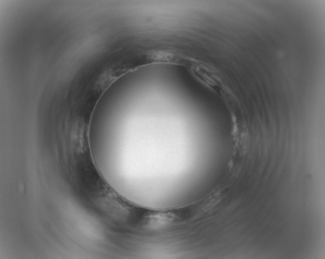 X0000077980525200611101705