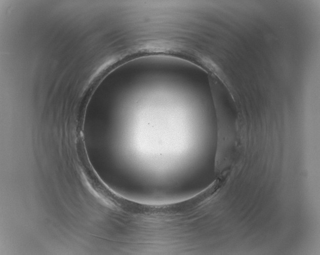 X0000077980530200611101704