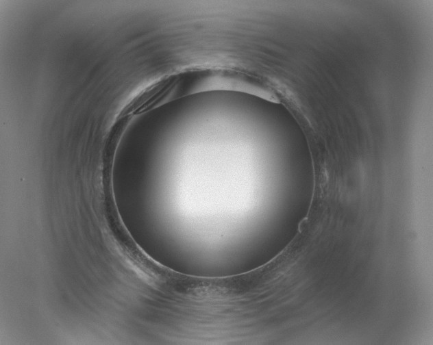X0000077980535200611101705