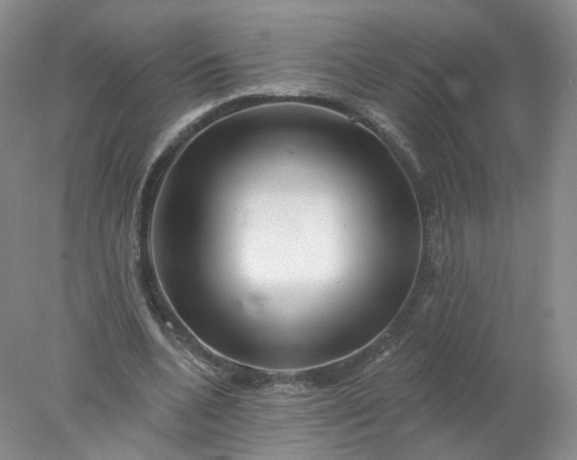 X0000077980536200611101705