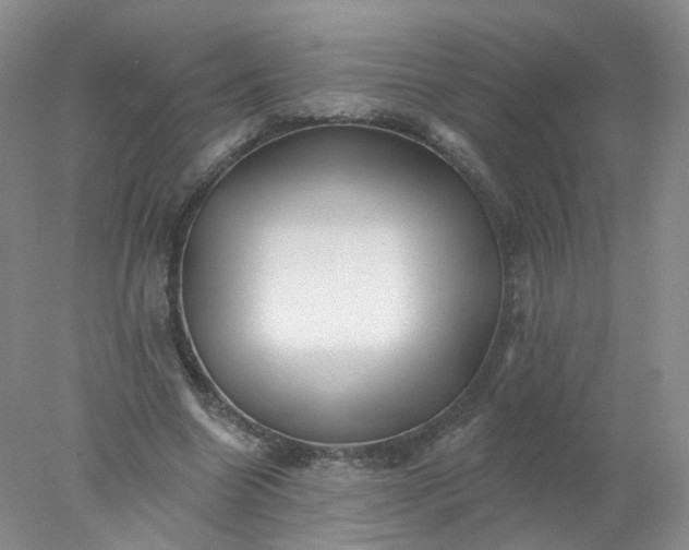 X0000077980538200611101705