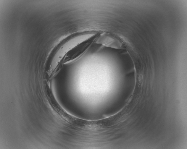 X0000077980540200611101705