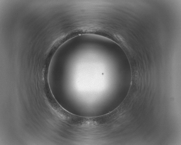 X0000077980543200611101705