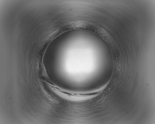 X0000077980546200611101705