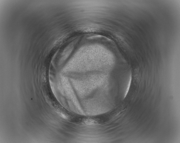 X0000077980547200611101705