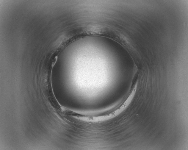 X0000077980548200611101705