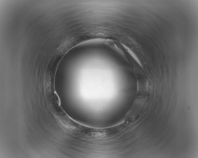 X0000077980552200611101705