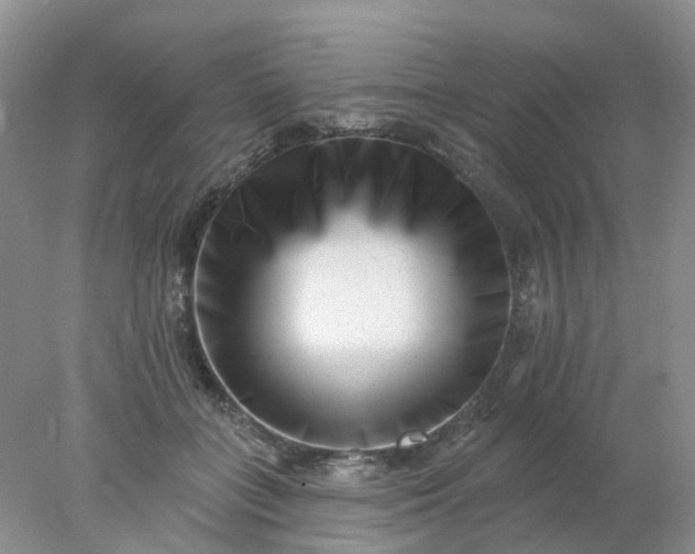 X0000077980555200611101705
