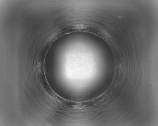 X0000077980556200611101705