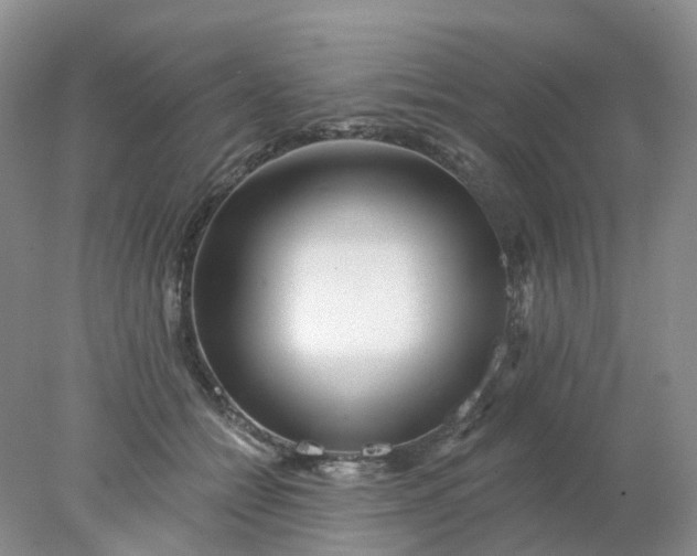 X0000077980558200611101705