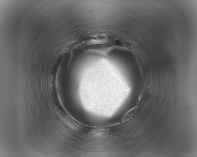 X0000077980563200611101705