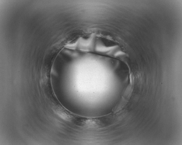 X0000077980566200611101705